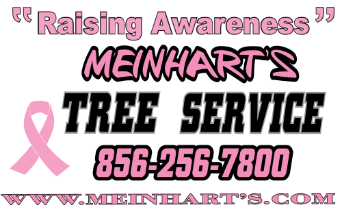 meinharts pink logo